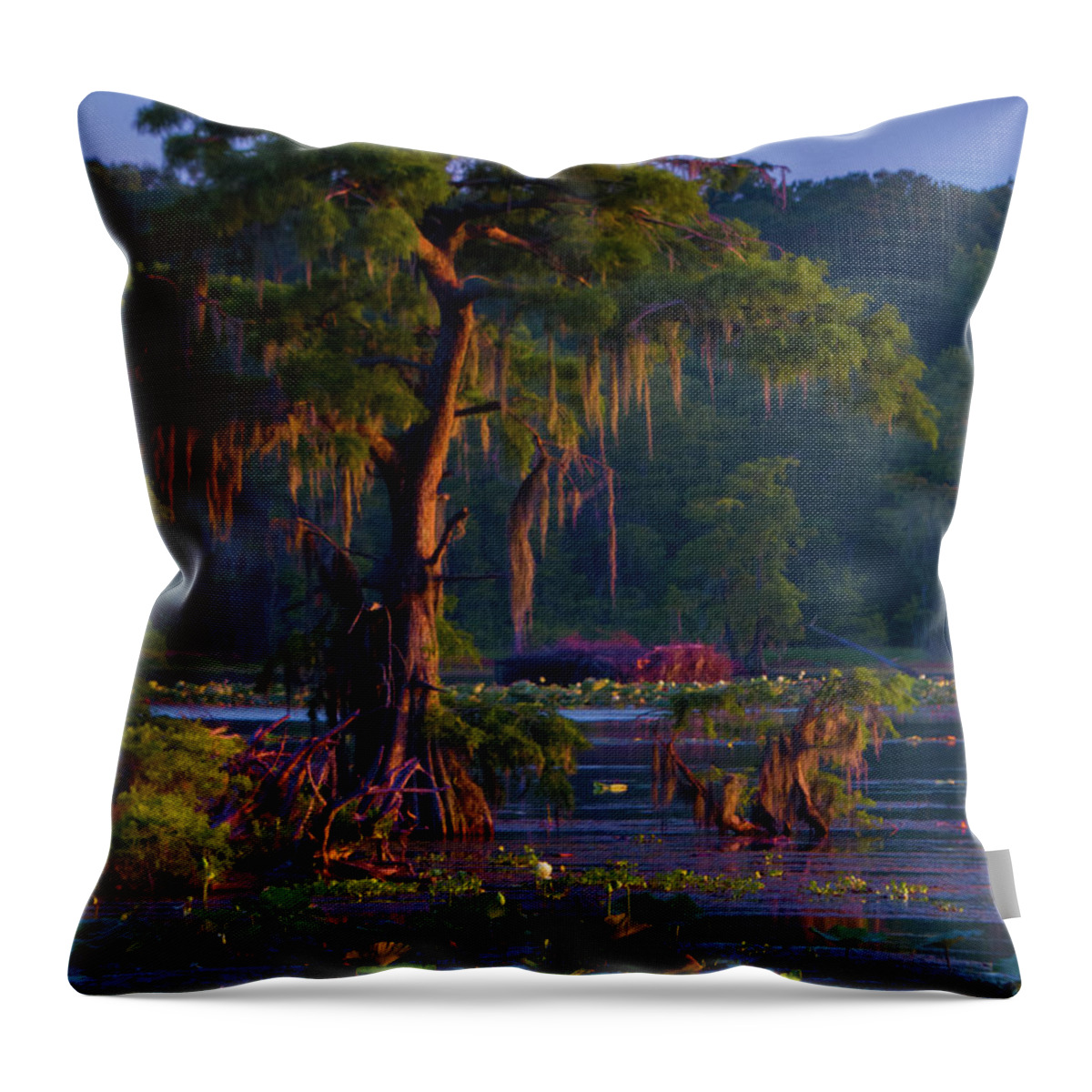 Orcinus Fotograffy Throw Pillow featuring the photograph Cypress In The Sunset by Kimo Fernandez