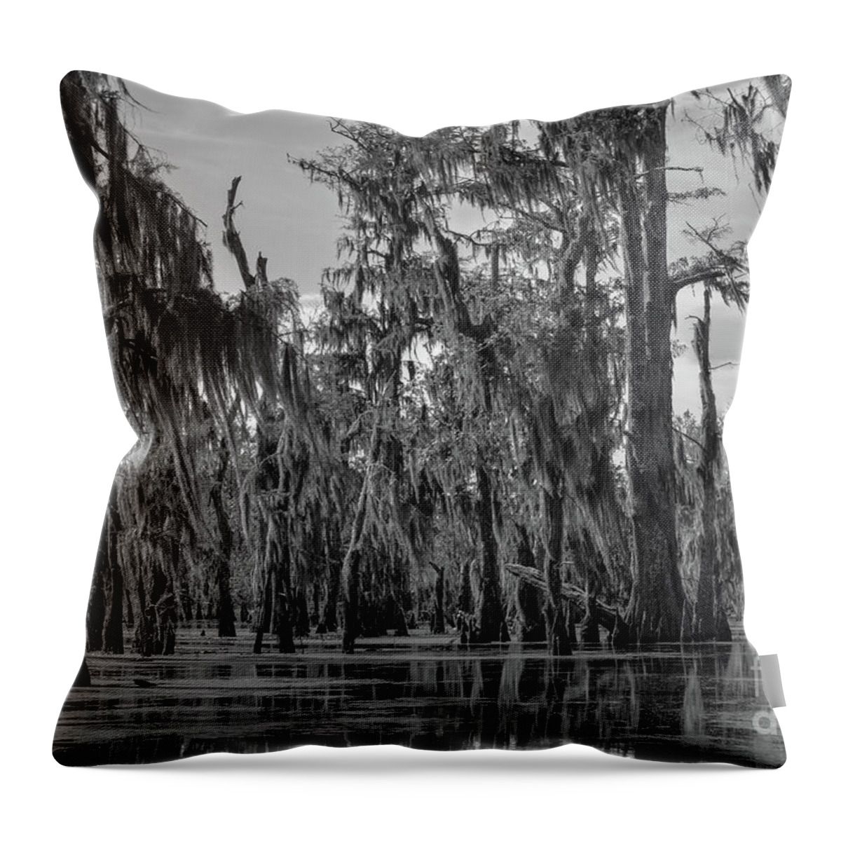 Nature Throw Pillow featuring the photograph Cypress swamp by Barry Bohn