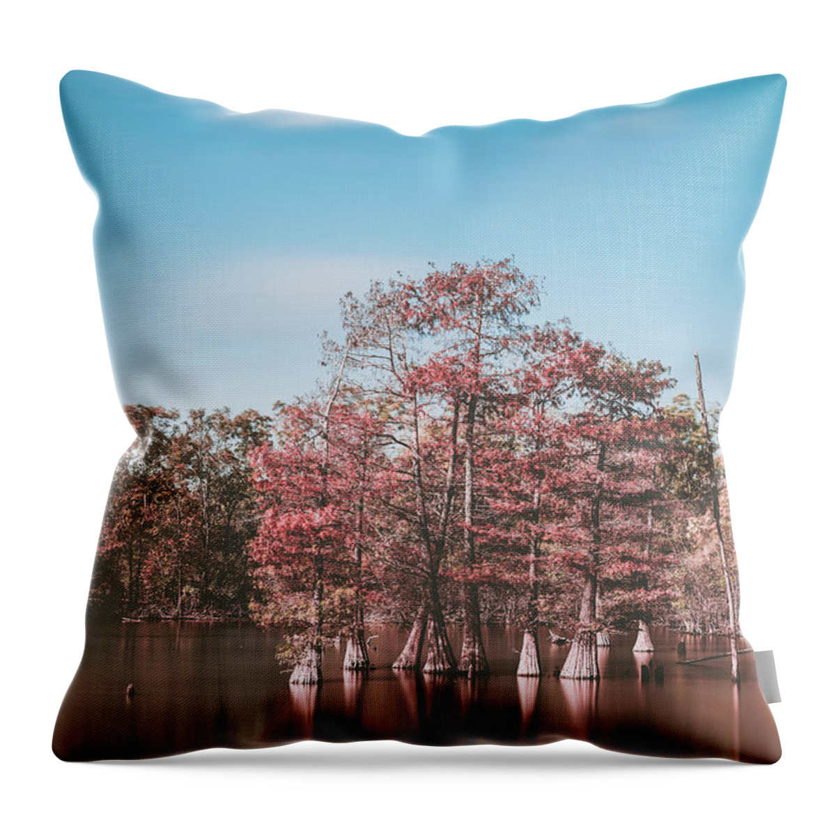 Louisiana Throw Pillow featuring the photograph Cypress trees in Lake by Mati Krimerman