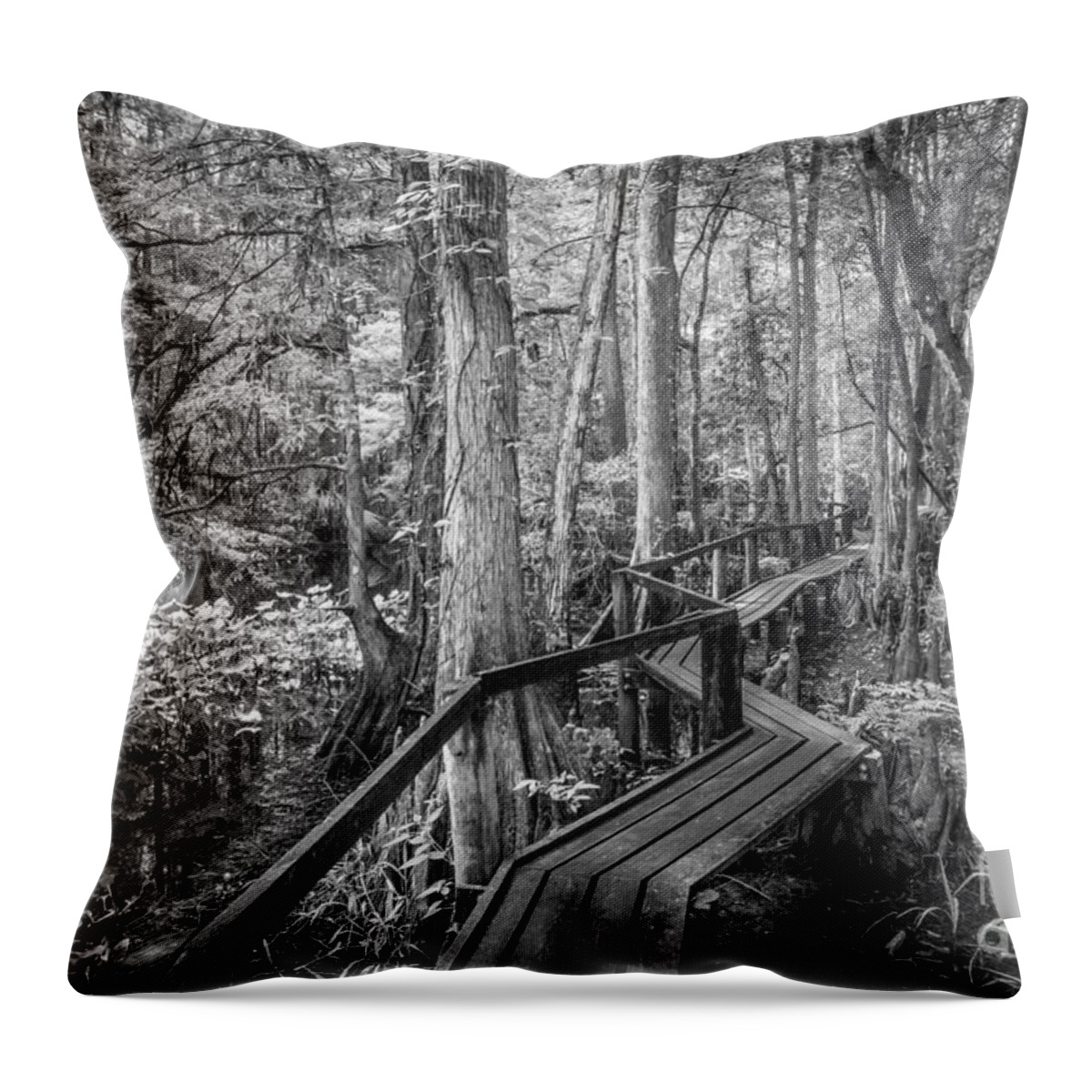 Central Florida Throw Pillow featuring the photograph Cypress Walk, Black and White by Liesl Walsh