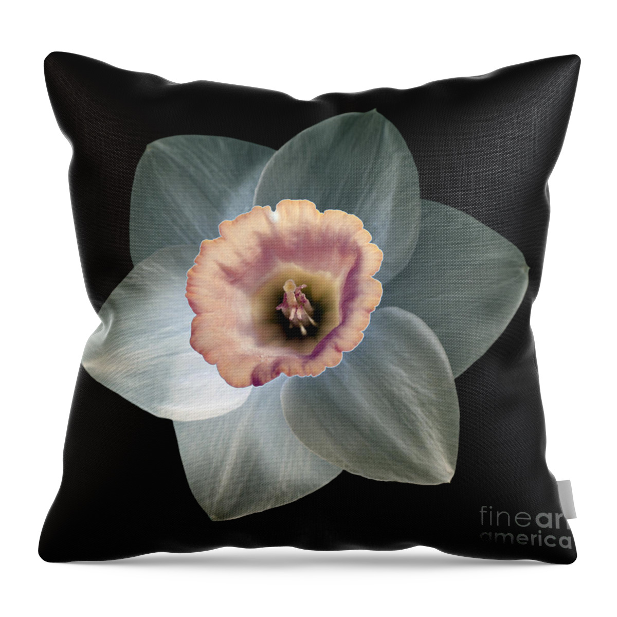 Daffodil Throw Pillow featuring the photograph Daffodil 2 by Tony Cordoza