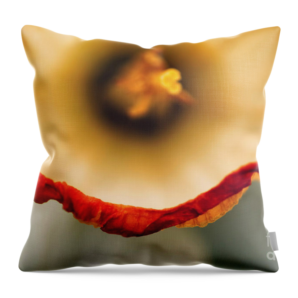 Yellow Throw Pillow featuring the photograph Daffodil Abstract by Darren Fisher