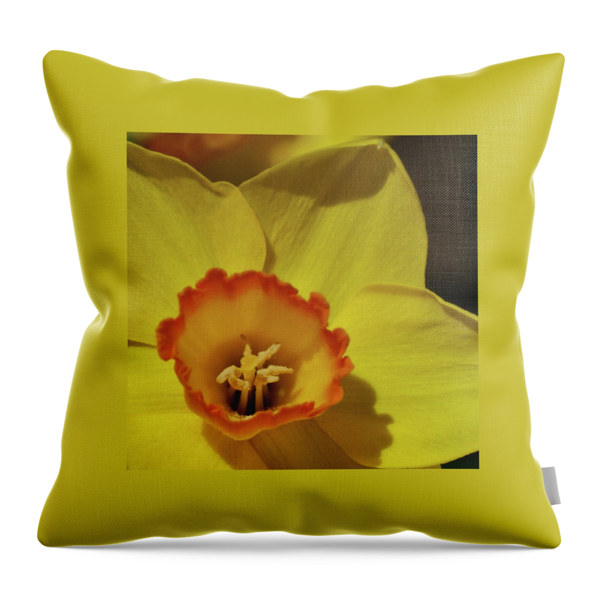 Daffodil Throw Pillow featuring the photograph Daffodil by Ernest Echols