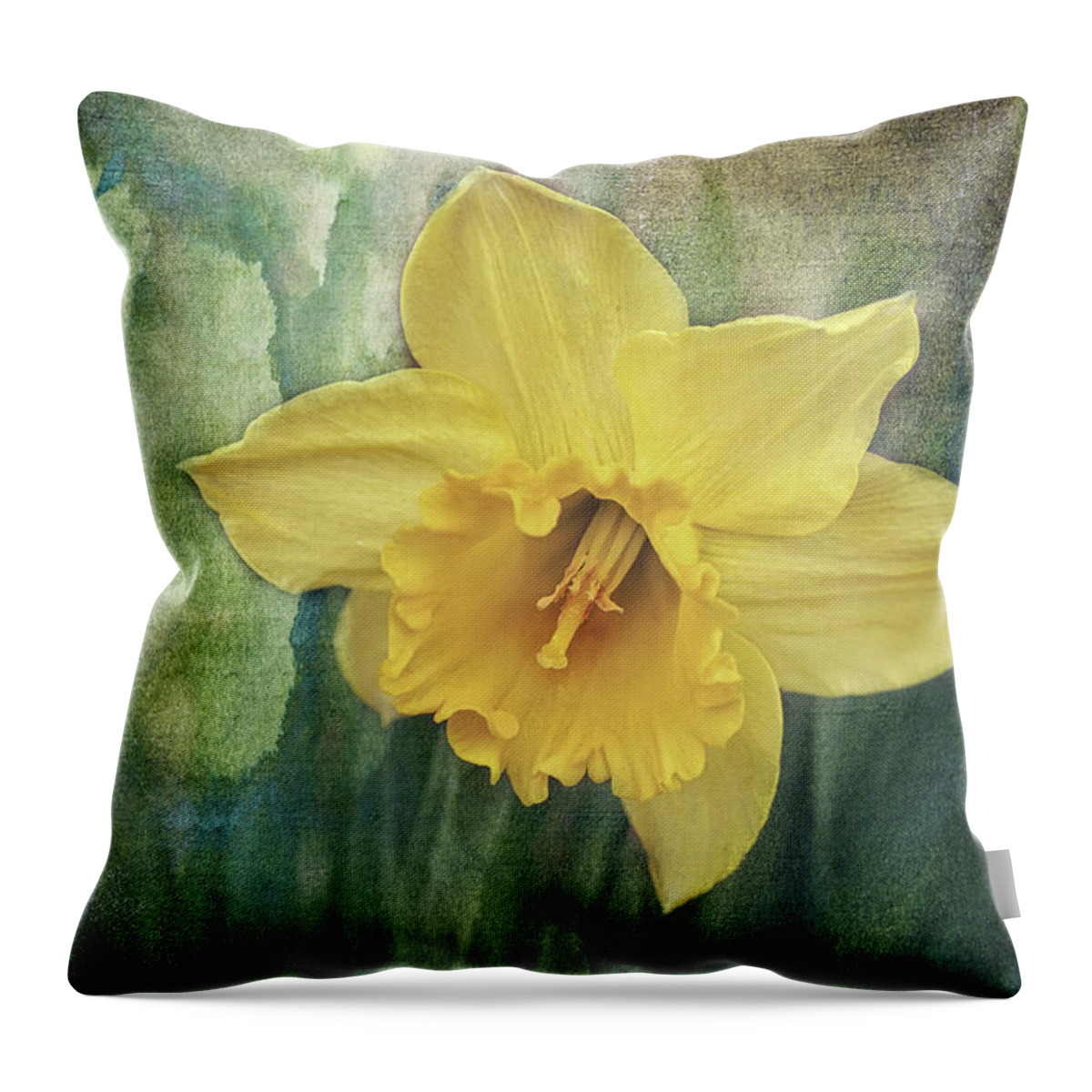 Daffodils In Bloom Print Throw Pillow featuring the photograph Daffodils in Bloom by Gwen Gibson