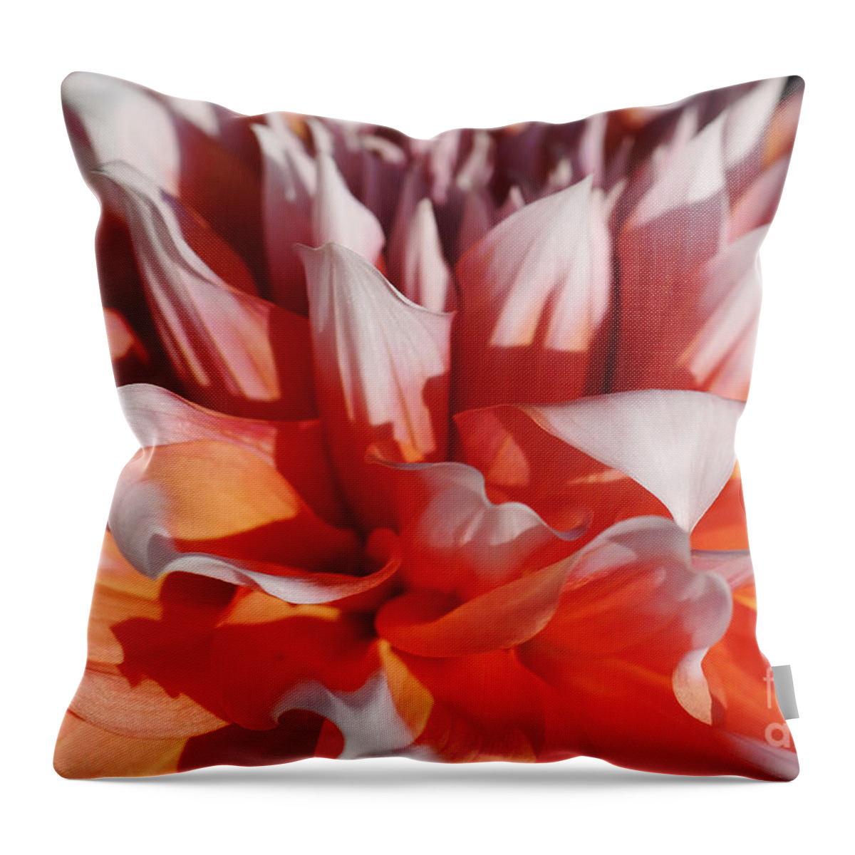 Nature Throw Pillow featuring the photograph Dahlia 60 by Rudi Prott