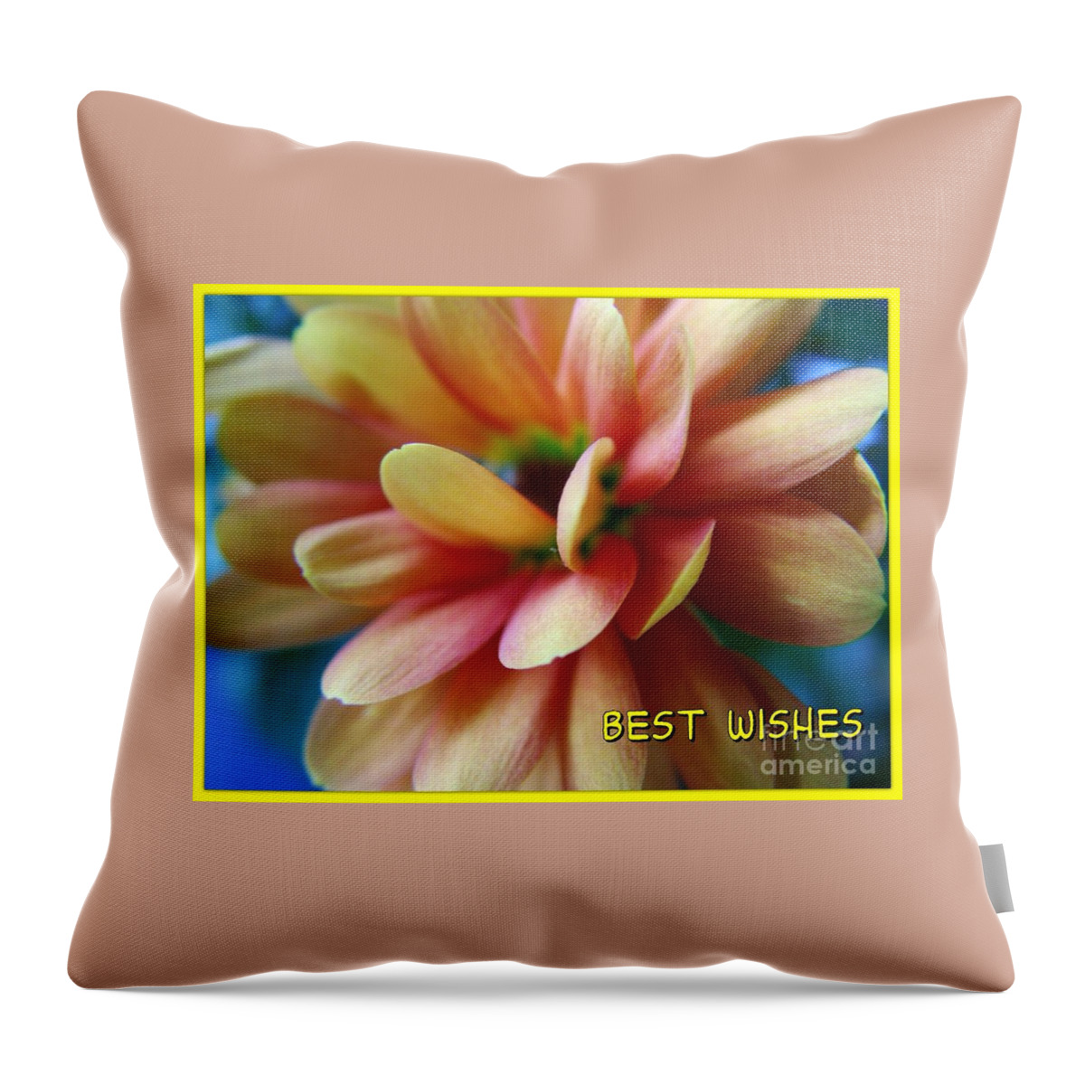 Miniature Dahlia Throw Pillow featuring the photograph Dahlia Greetings by Joan-Violet Stretch