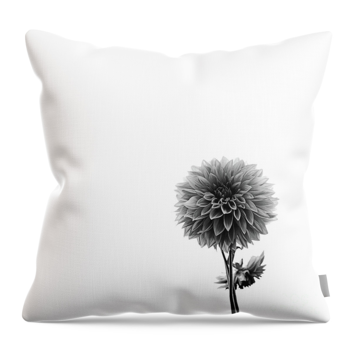 Dahlia Throw Pillow featuring the photograph Dahlia In Black And White 2 by Mark Alder