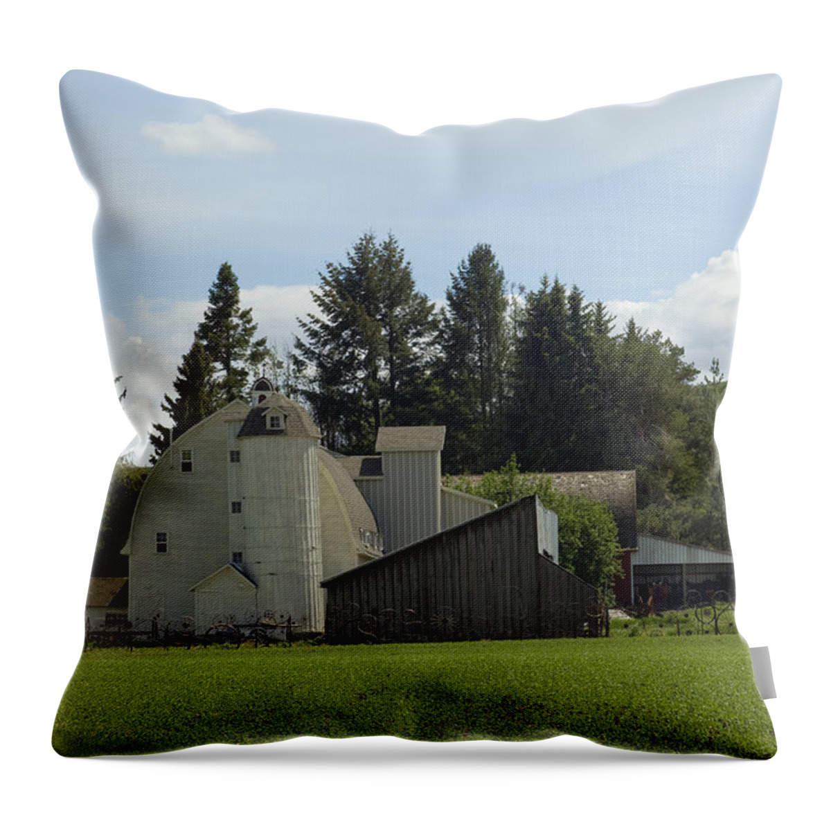 Barn Throw Pillow featuring the photograph Dahmen Barn Historical by Louise Magno