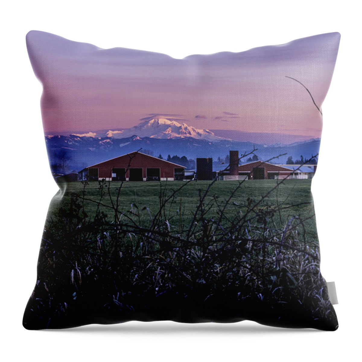 Sunset Throw Pillow featuring the photograph Dairy Farm Sunset by Mark Joseph