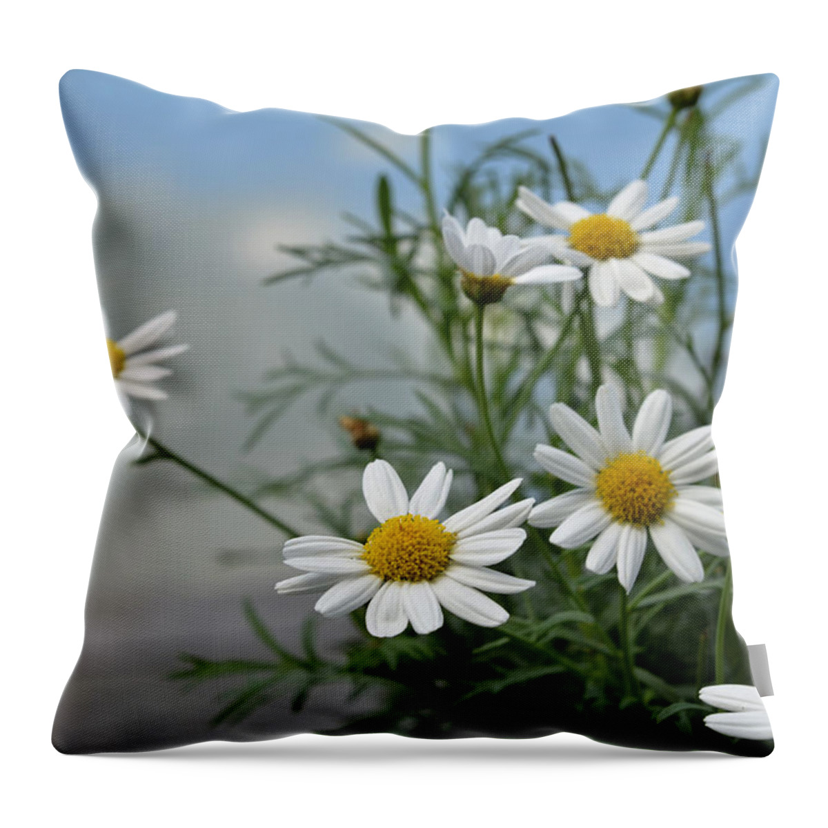 . Deck Throw Pillow featuring the photograph Daisies By The Lake by Ann Bridges