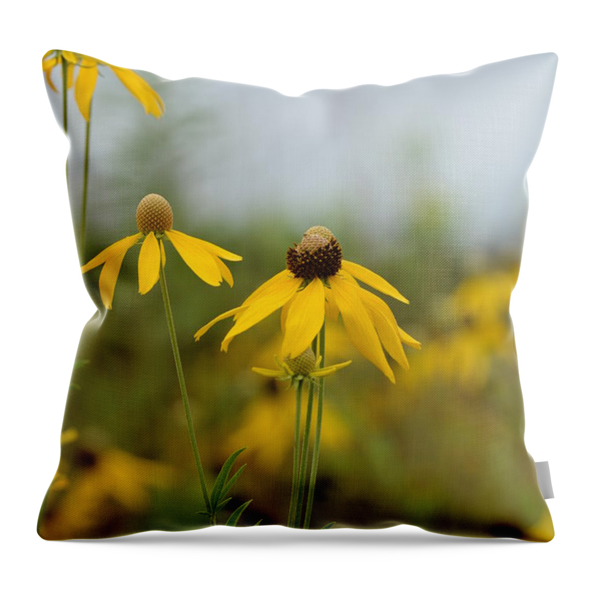 Daisies In The Mist Throw Pillow featuring the photograph Daisies in the Mist by Maria Urso