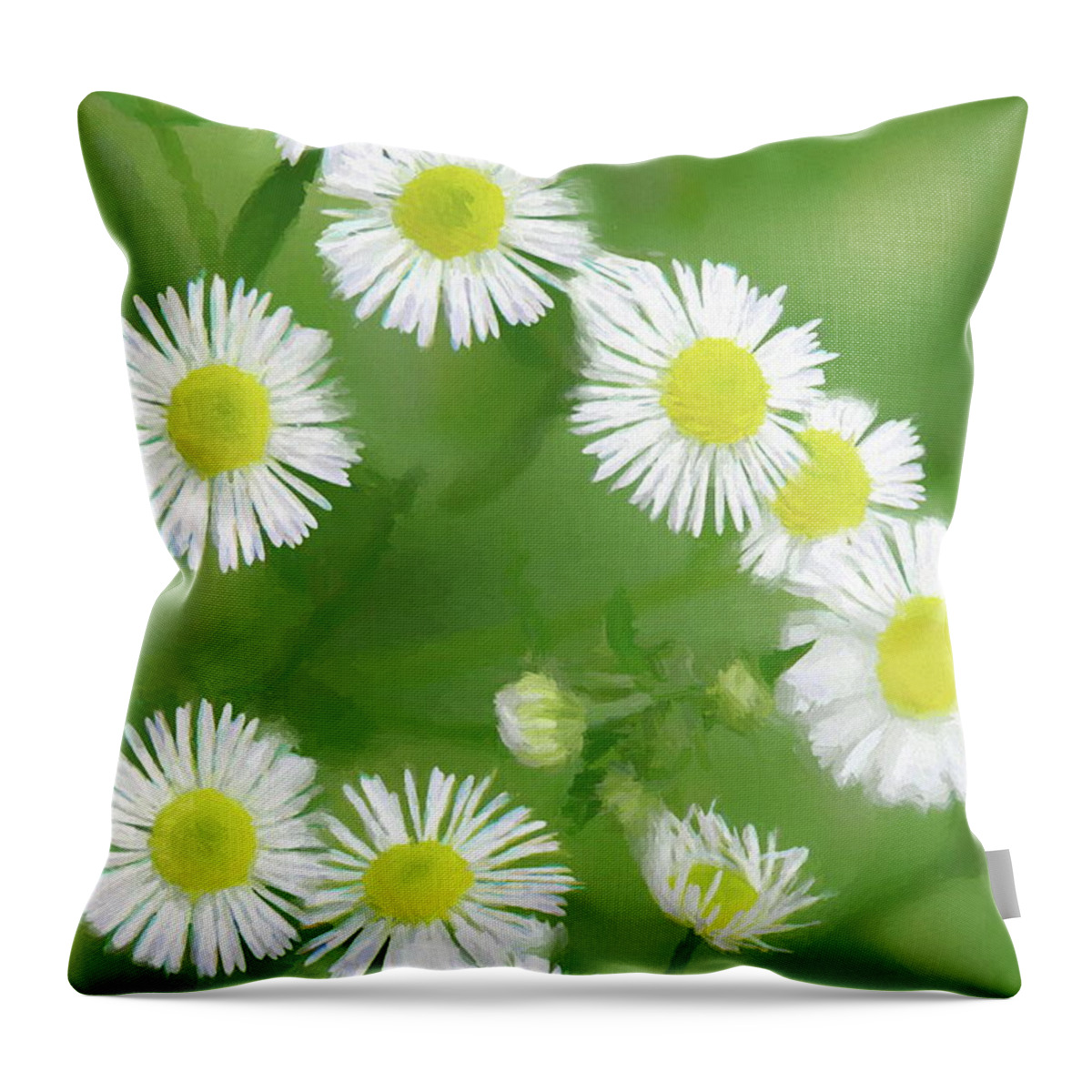 Daisy Throw Pillow featuring the photograph Daisies - Wild Flowers by Andrea Kollo