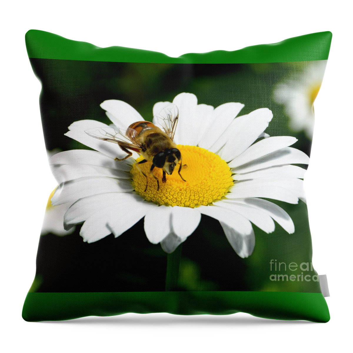 Diane Berry Throw Pillow featuring the photograph Daisy Bee Mine by Diane E Berry