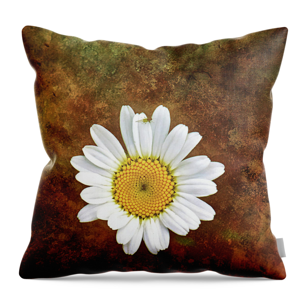 Daisy Flower Photography Throw Pillow featuring the photograph Daisy Bug Photo Bomb Wall Art by Gwen Gibson