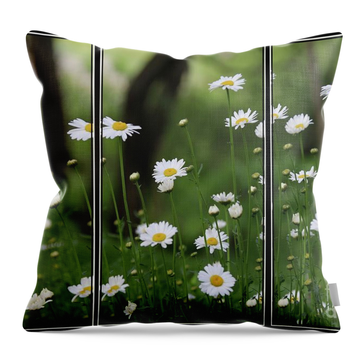 Daisy Throw Pillow featuring the photograph Daisy Triptych panel by Yumi Johnson