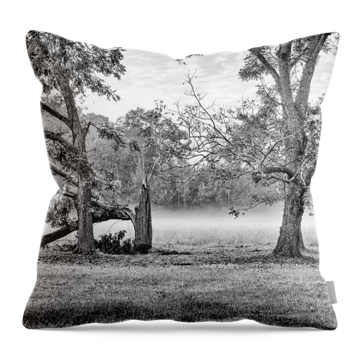 Fog Throw Pillow featuring the photograph Dale - Foggy Morning by Scott Hansen