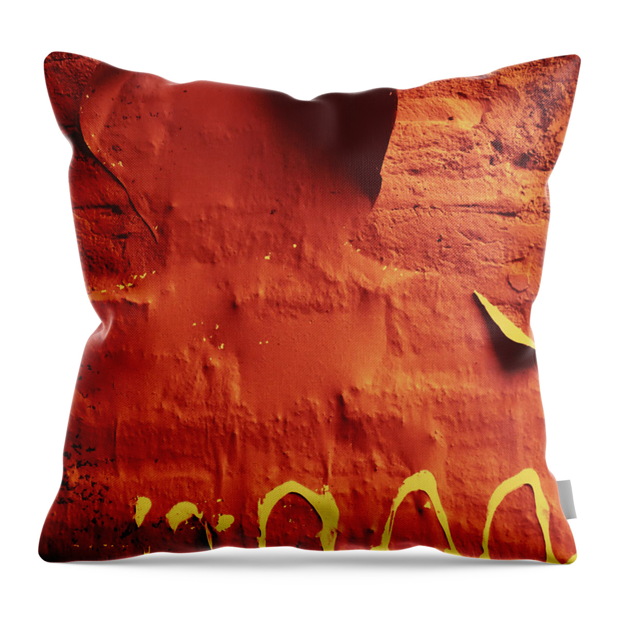 Peeling Paint Throw Pillow featuring the photograph Damen by Jessica Levant