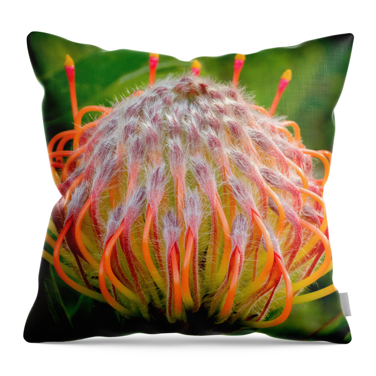 Flower Throw Pillow featuring the photograph Dance of the Hydra by Derek Dean