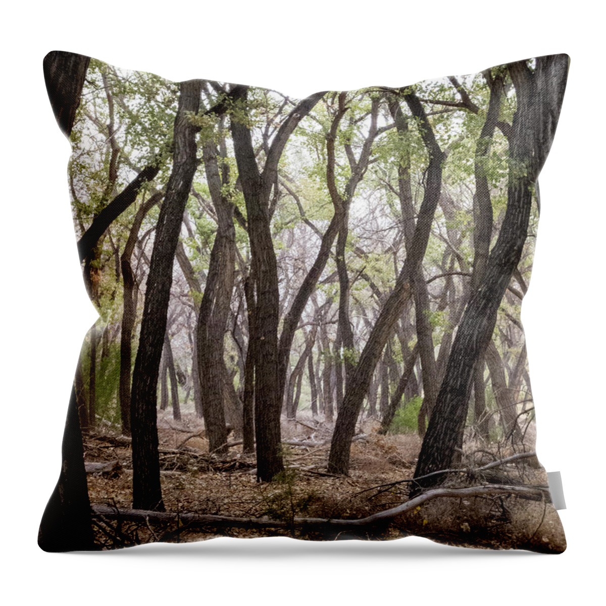 Landscapes Throw Pillow featuring the photograph Dance of the Trees by Mary Lee Dereske