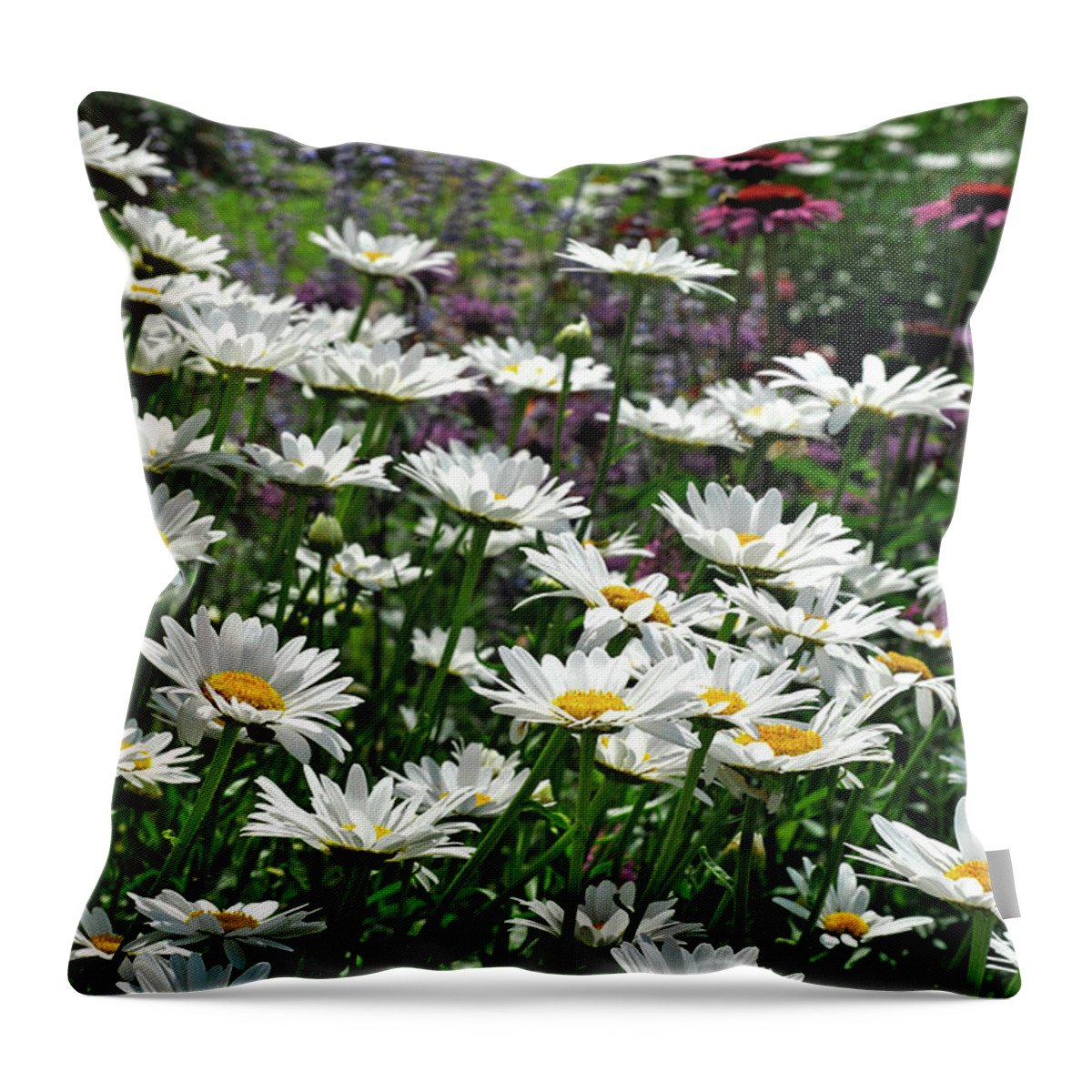 Jigsaw Throw Pillow featuring the photograph Dancing Daisies by Carole Gordon