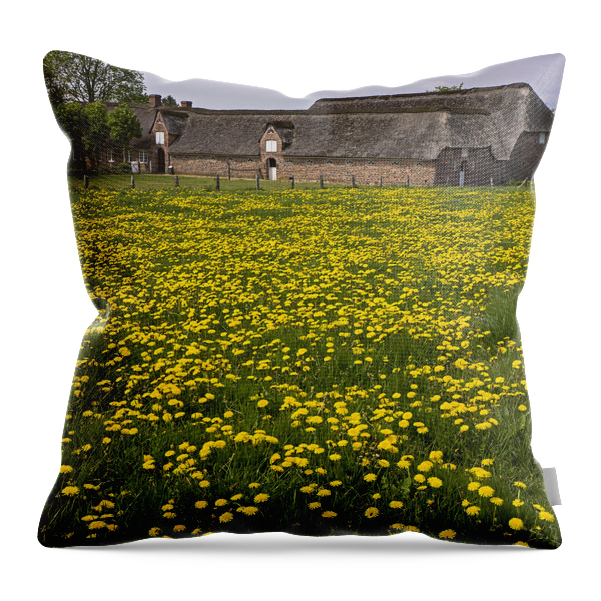 Dandelion Throw Pillow featuring the photograph Dandelion Field by Inge Riis McDonald