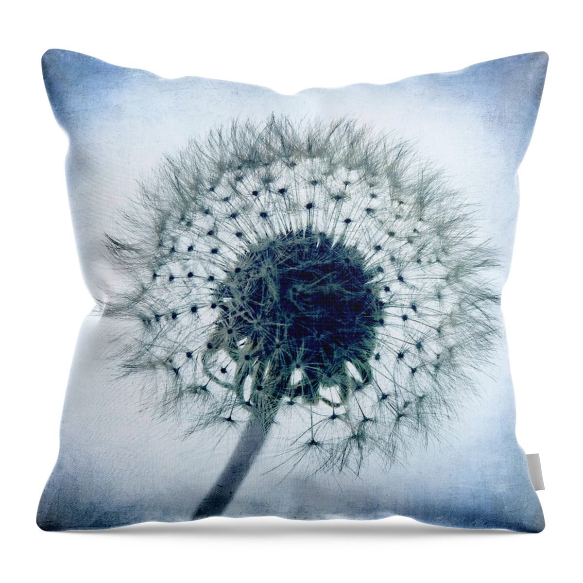 Blue Throw Pillow featuring the photograph Dandelion in Blue by Tamyra Ayles