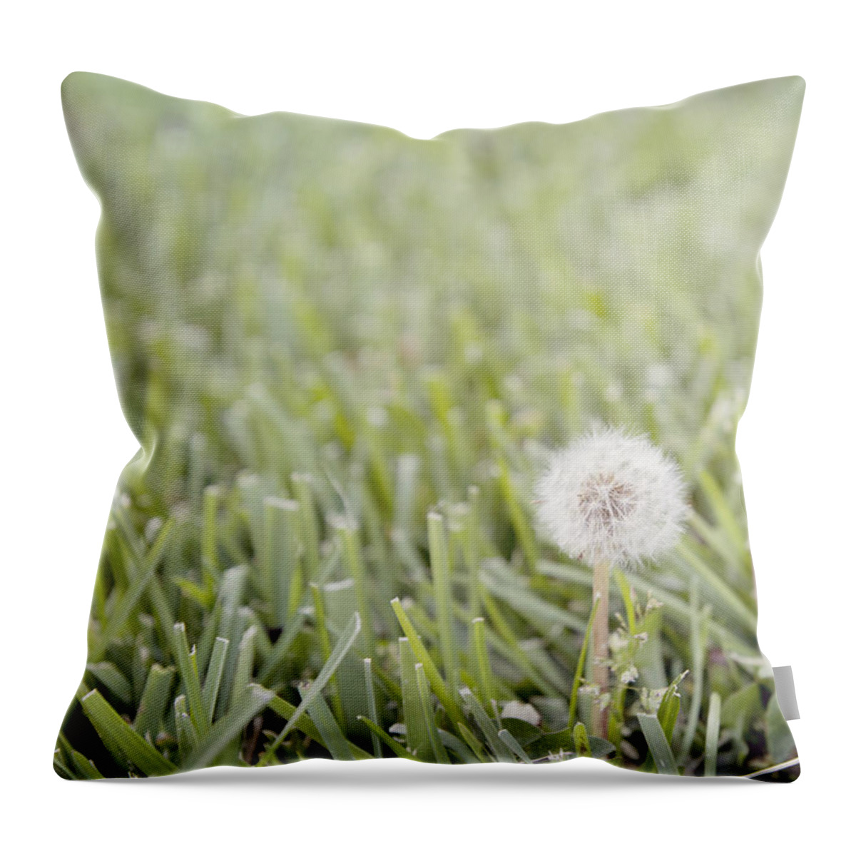 Lawn Throw Pillow featuring the photograph Dandelion in the grass by Cindy Garber Iverson