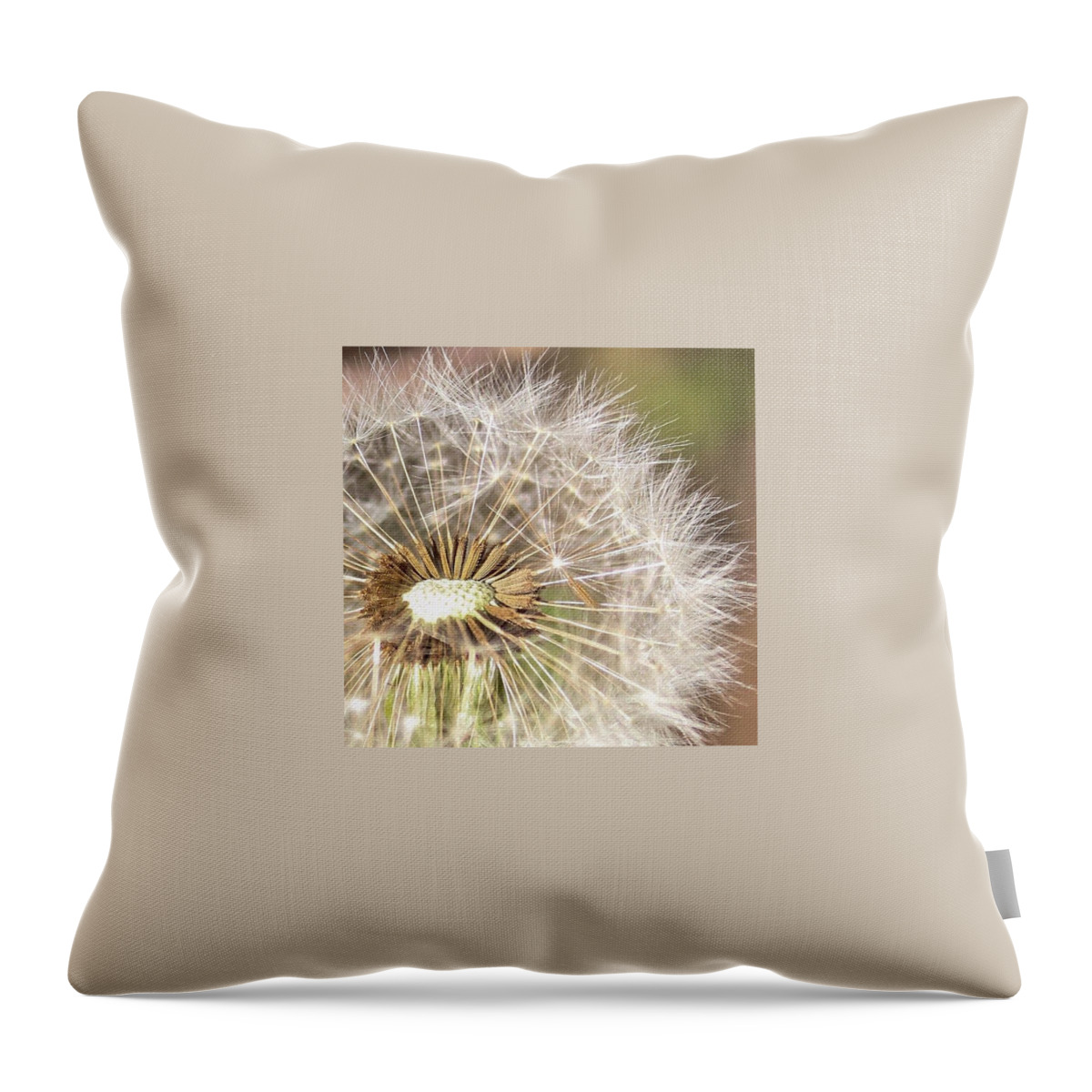 Travelphotography Throw Pillow featuring the photograph Gone Tomorrow by Jen McKnight