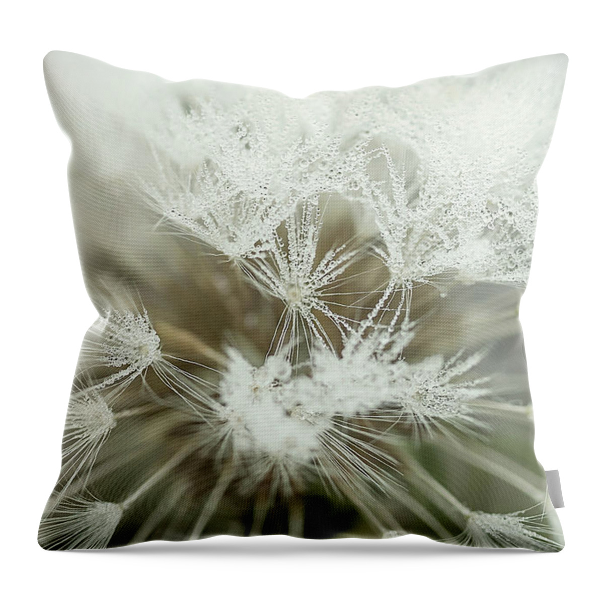 Background Throw Pillow featuring the photograph Dandelion with droplets I by Paulo Goncalves