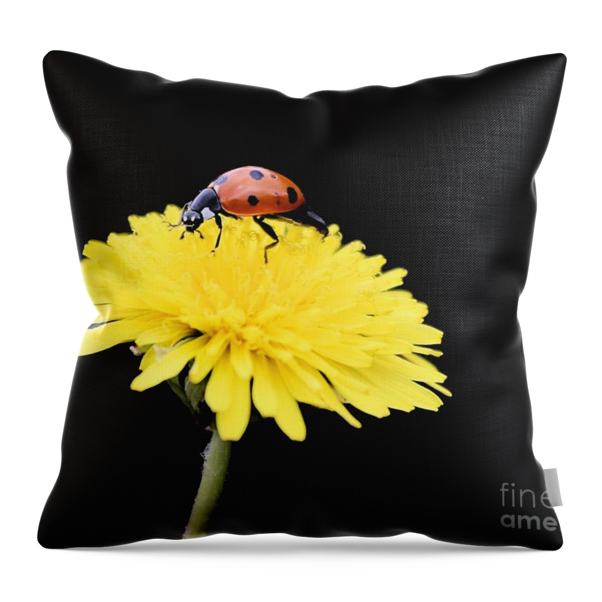 Lady Bug Throw Pillow featuring the photograph Dandy Lady 4 by Kim Yarbrough