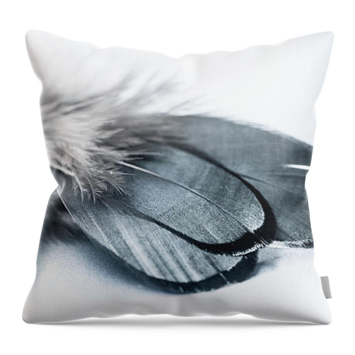 Feather Throw Pillow featuring the photograph Dare to Fly by Maggie Terlecki