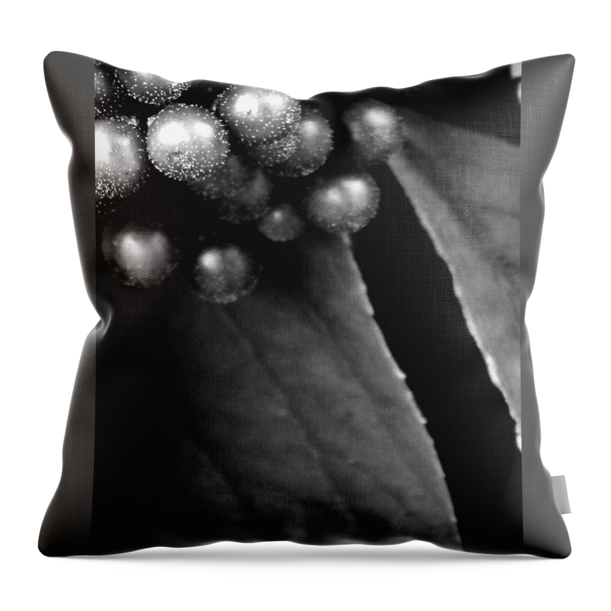 Plants Throw Pillow featuring the photograph Dark Berry by Michael Ramsey