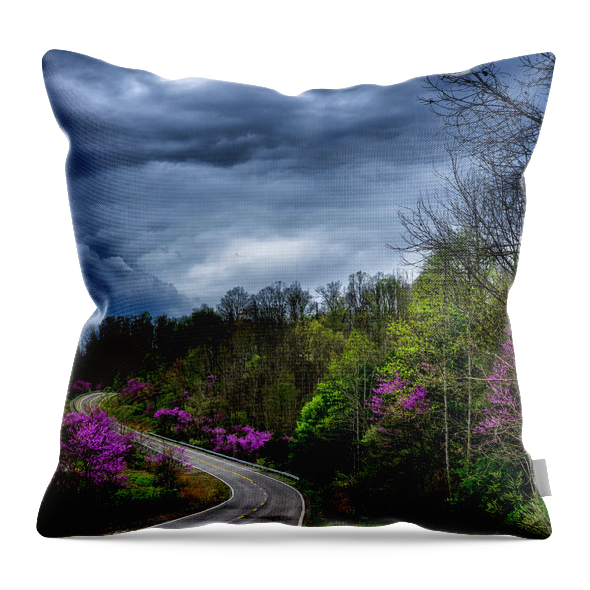 Spring Throw Pillow featuring the photograph Dark Clouds over Redbud Highway by Thomas R Fletcher