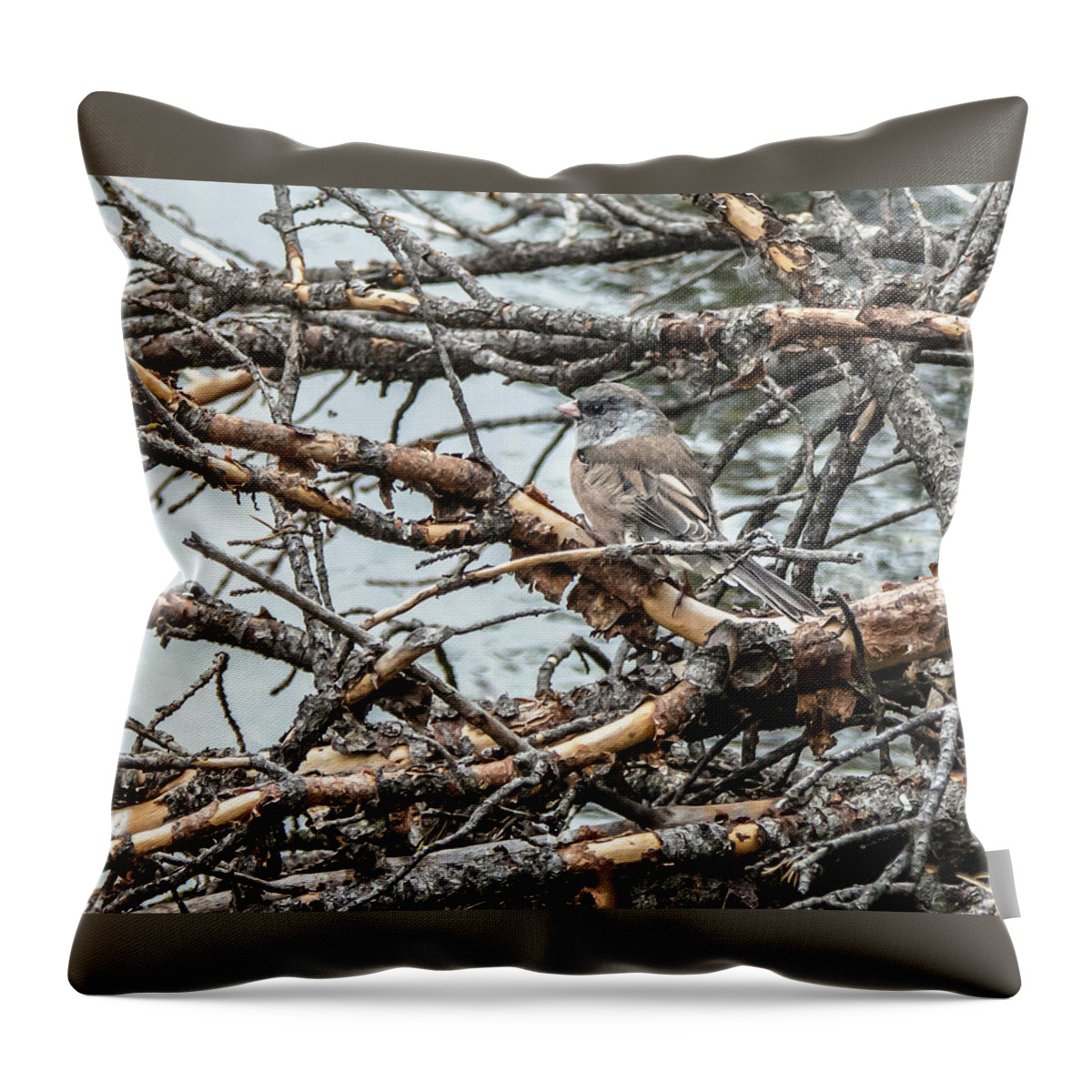 Bird Throw Pillow featuring the photograph Dark-Eyed Junco In Camo by Yeates Photography