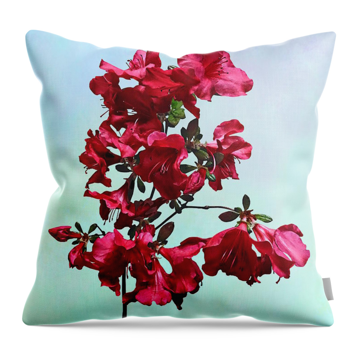 Azaleas Throw Pillow featuring the photograph Dark Pink Azaleas by Susan Savad