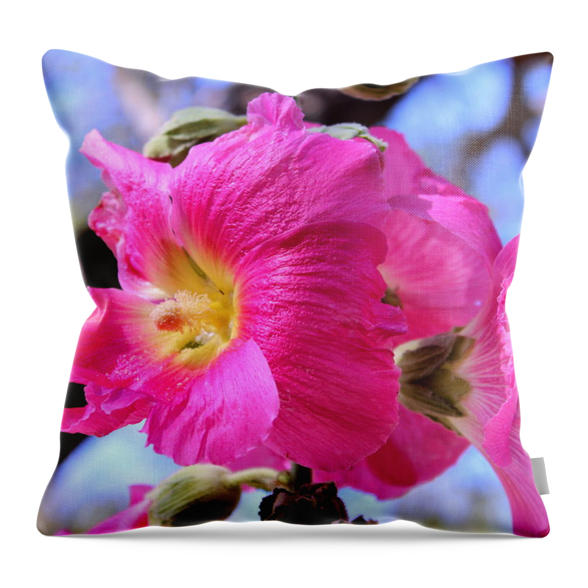 Hollyhocks Throw Pillow featuring the photograph Dark Pink Hollyhock 2 by M Diane Bonaparte