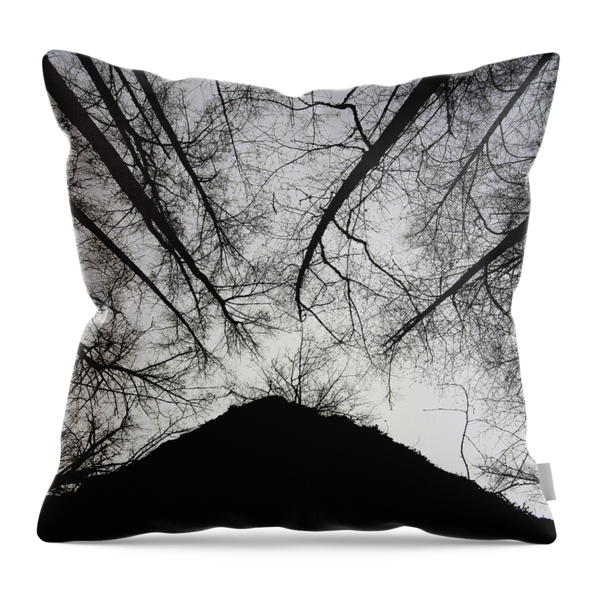 Trees Throw Pillow featuring the photograph Dark Shadows by Bob Cournoyer