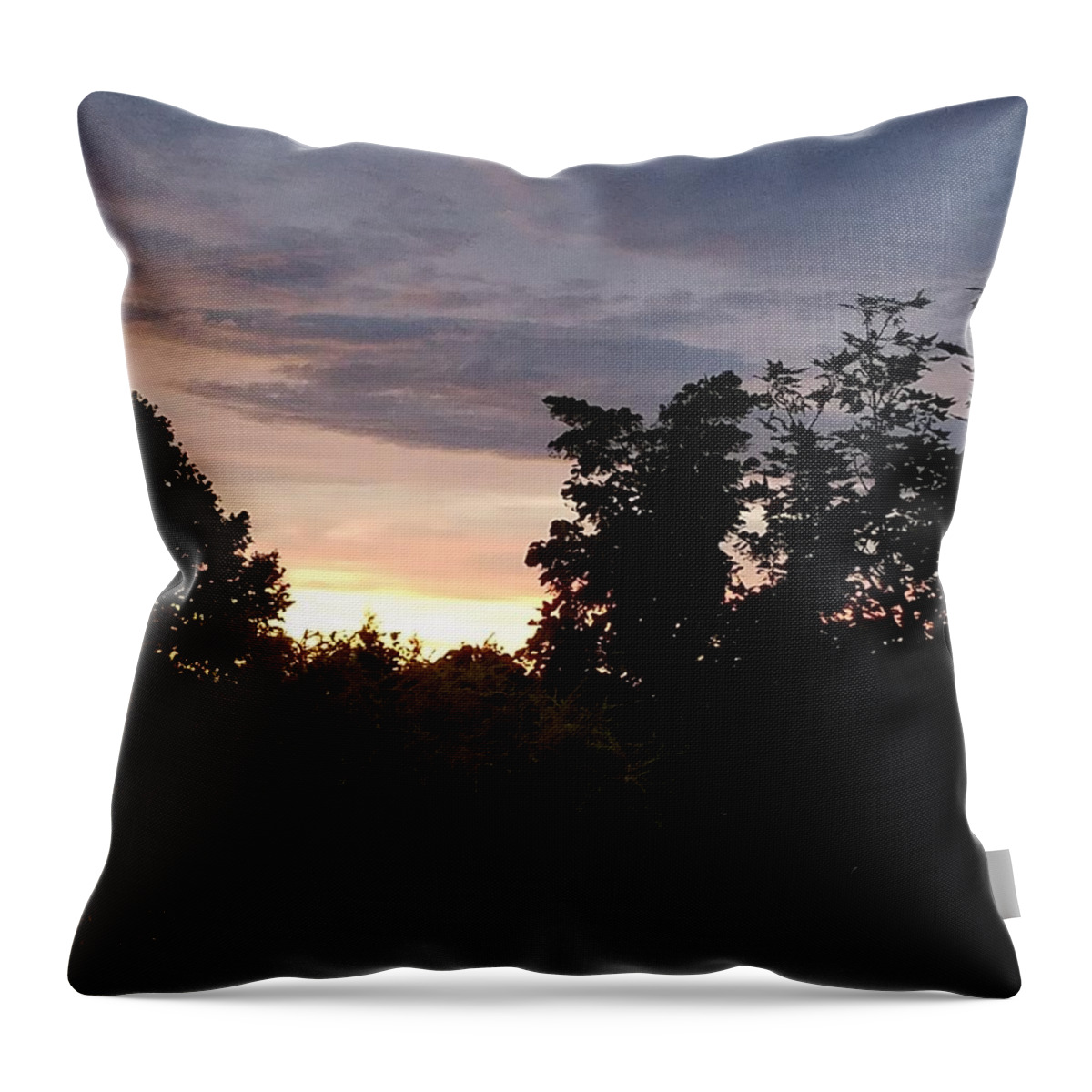 Sunset Throw Pillow featuring the photograph Dark Sunset by Vic Ritchey