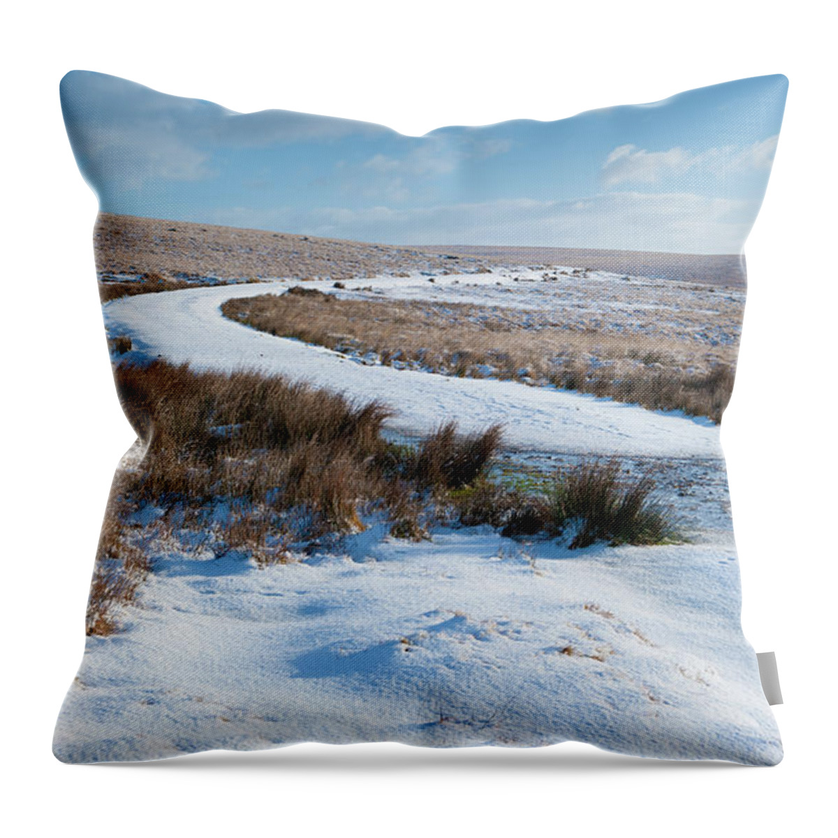 Winter Throw Pillow featuring the photograph Dartmoor in the Snow v by Helen Jackson