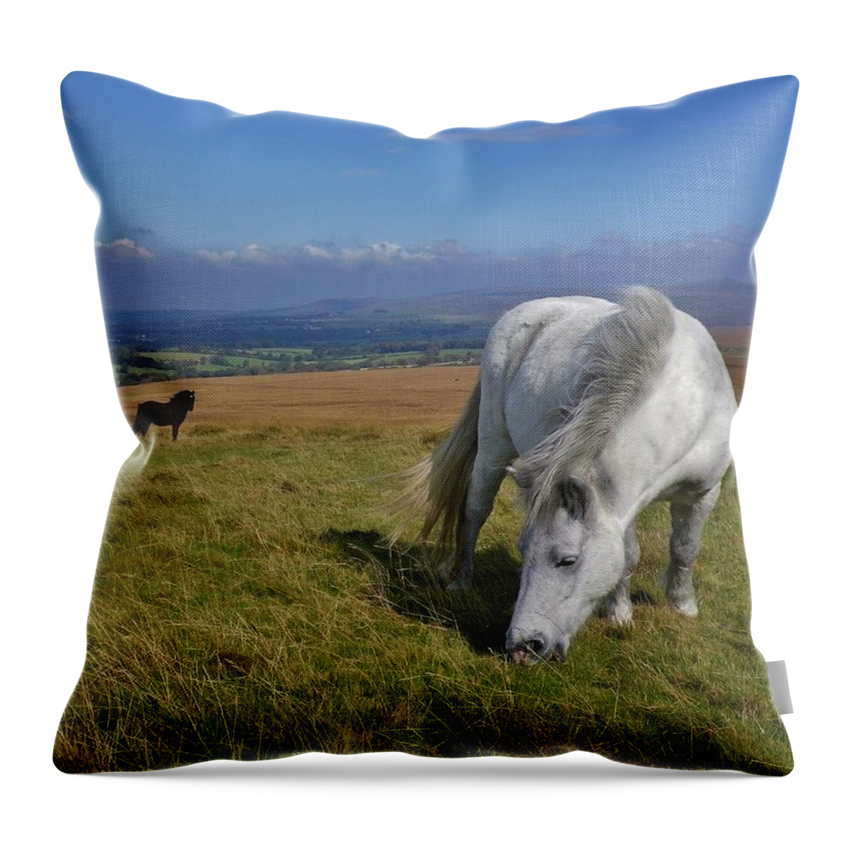 Dartmoor Throw Pillow featuring the photograph Dartmoor Ponies On Gibbet Hill Dartmoor Devon by Richard Brookes
