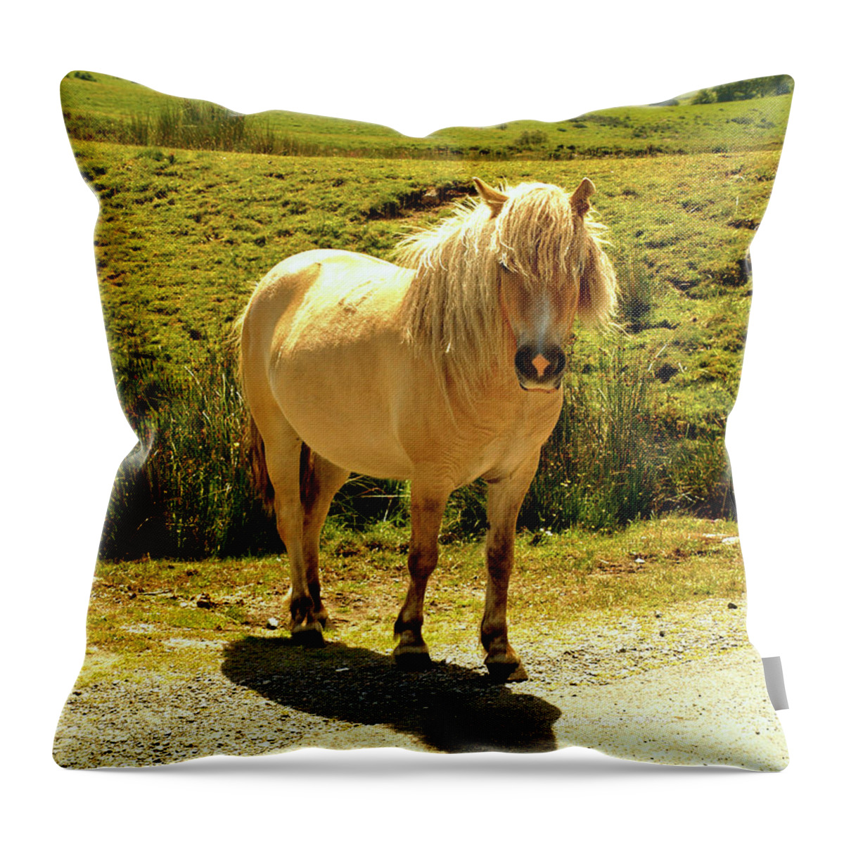 Animals Throw Pillow featuring the photograph Dartmoor Pony by Richard Denyer