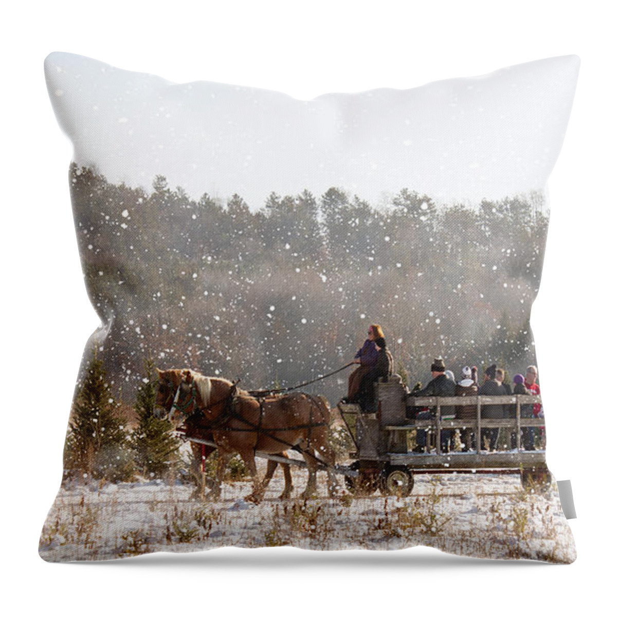 Horse Throw Pillow featuring the photograph Dashing Through the Snow by Inspired Arts