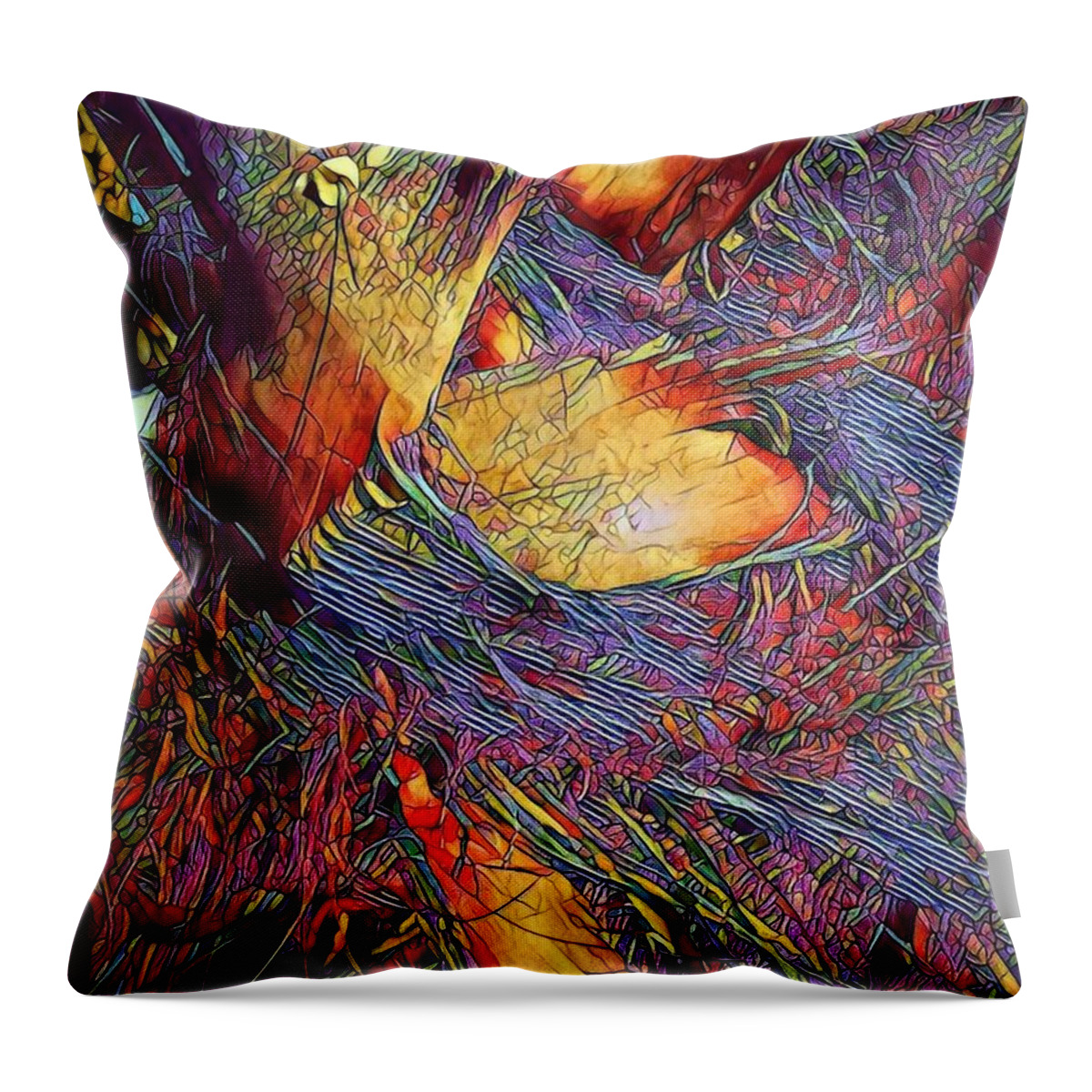 Date Palm Throw Pillow featuring the photograph Date with a rainbow by Jarek Filipowicz