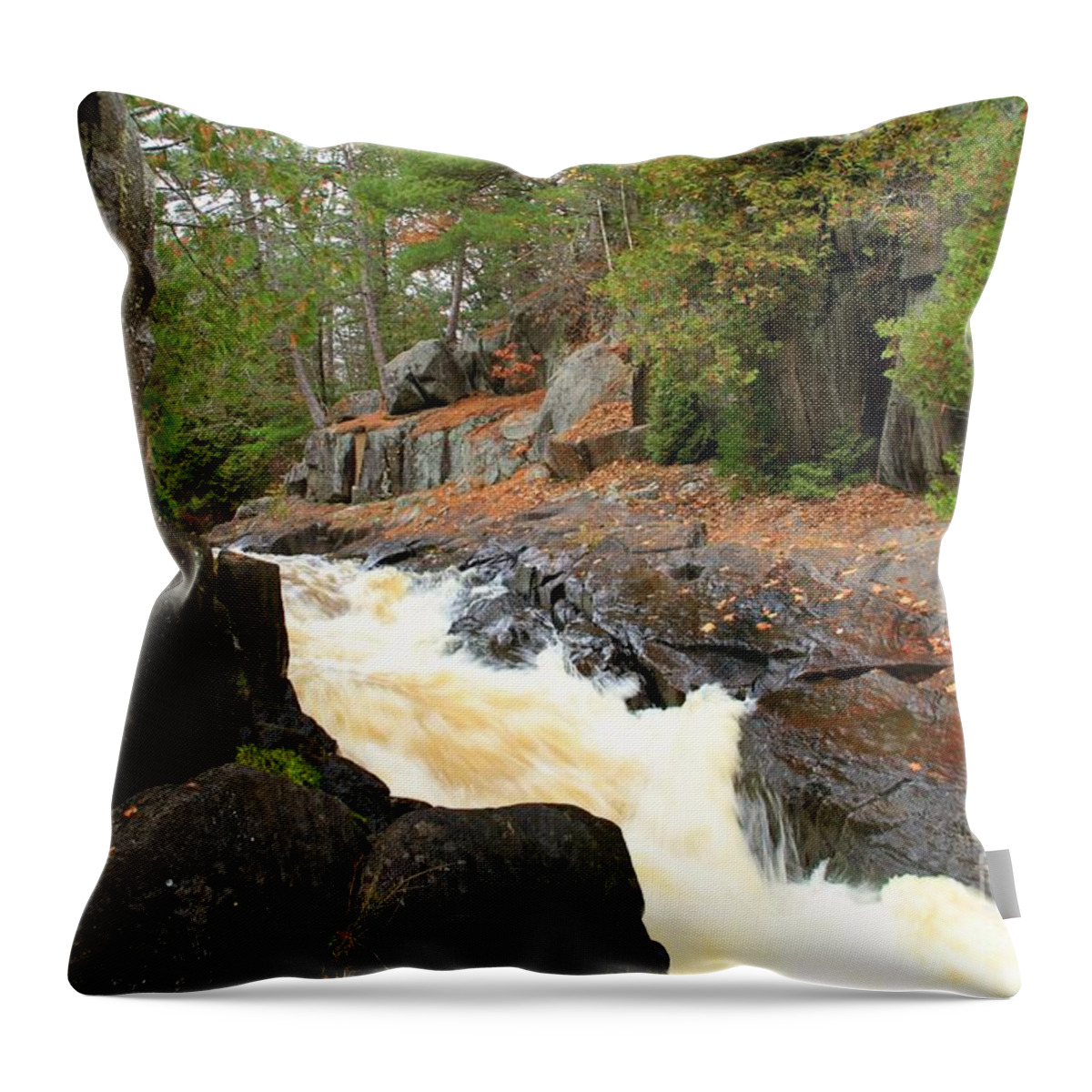 Waterfalls Throw Pillow featuring the photograph Dave's Falls #7311 by Mark J Seefeldt