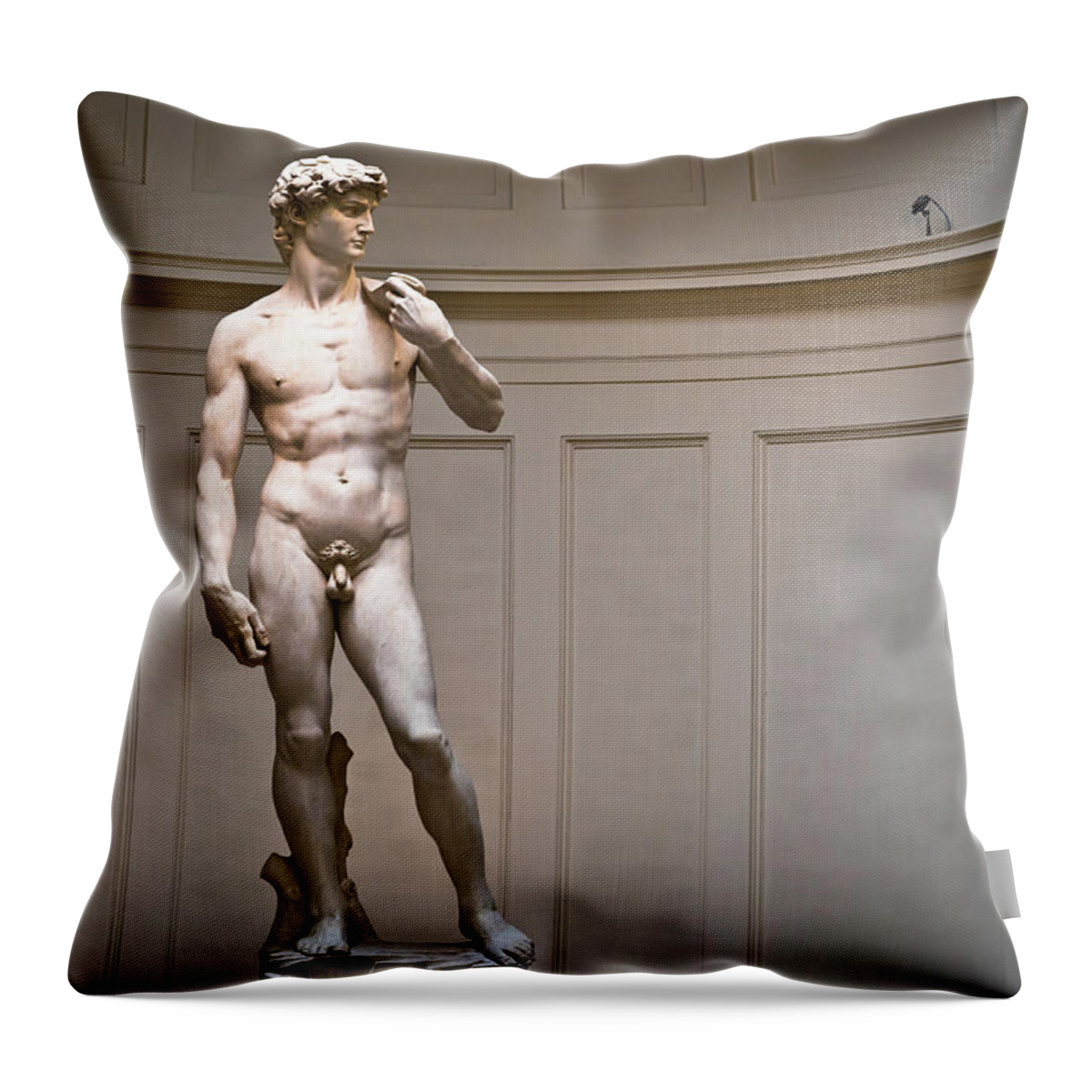 Sculpture Throw Pillow featuring the photograph David sculpture by Michelangelo wordls most famous statue by Brch Photography