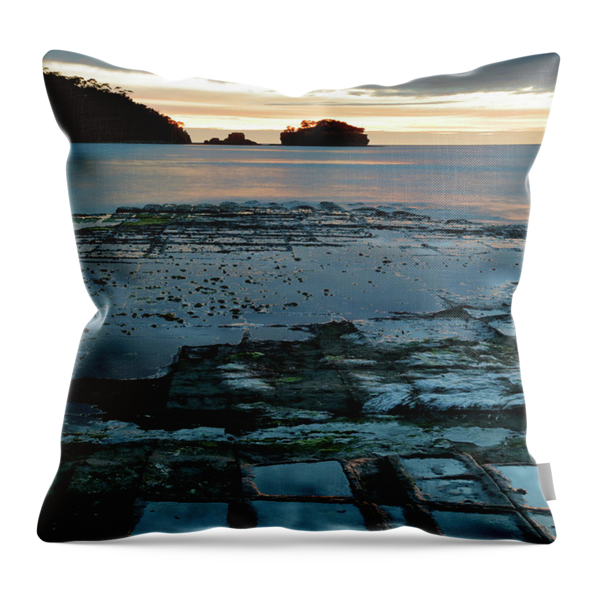 Dawn Throw Pillow featuring the photograph Dawn at the Tessellated Pavement by Nicholas Blackwell