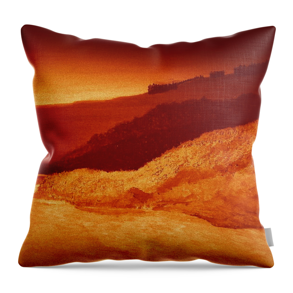 Dawn River Mountains Bridge Landscape Cold Lonely Rapids Throw Pillow featuring the painting Dawn by Bill OConnor