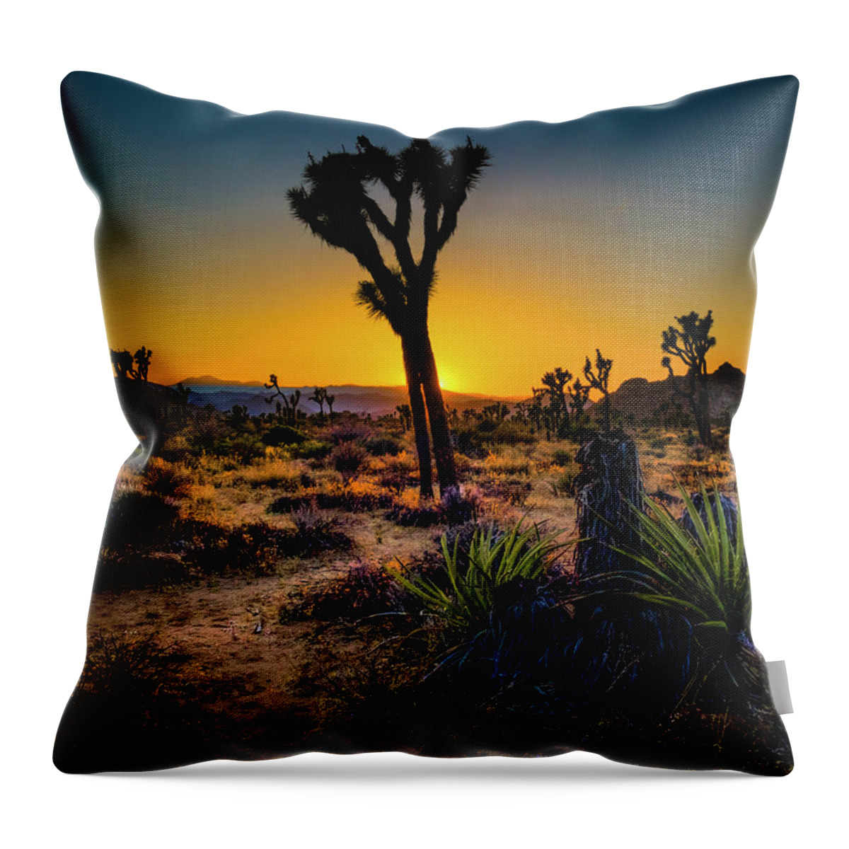 Dawn Throw Pillow featuring the photograph Dawn of the Morning by Sandra Selle Rodriguez
