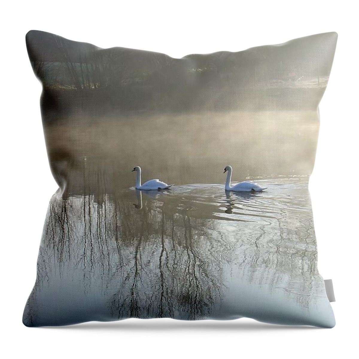 Europe Throw Pillow featuring the photograph Dawn Patrol by Rod Johnson