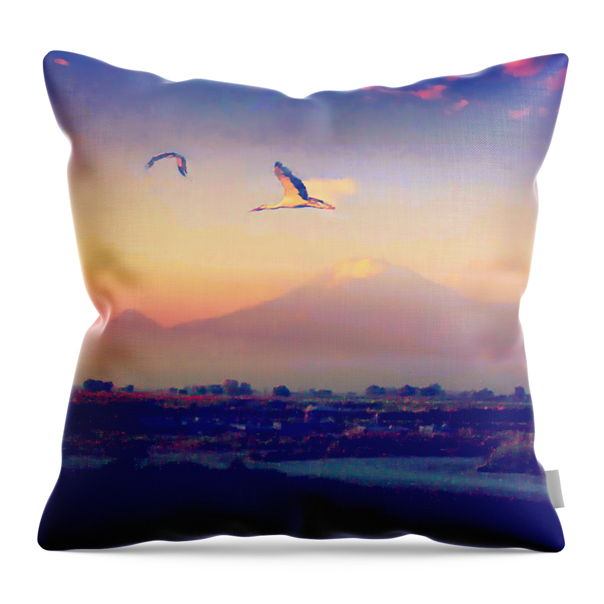 Mt. Ararat Throw Pillow featuring the photograph Dawn with Storks and Ararat from Night Train to Yerevan by Anastasia Savage Ealy